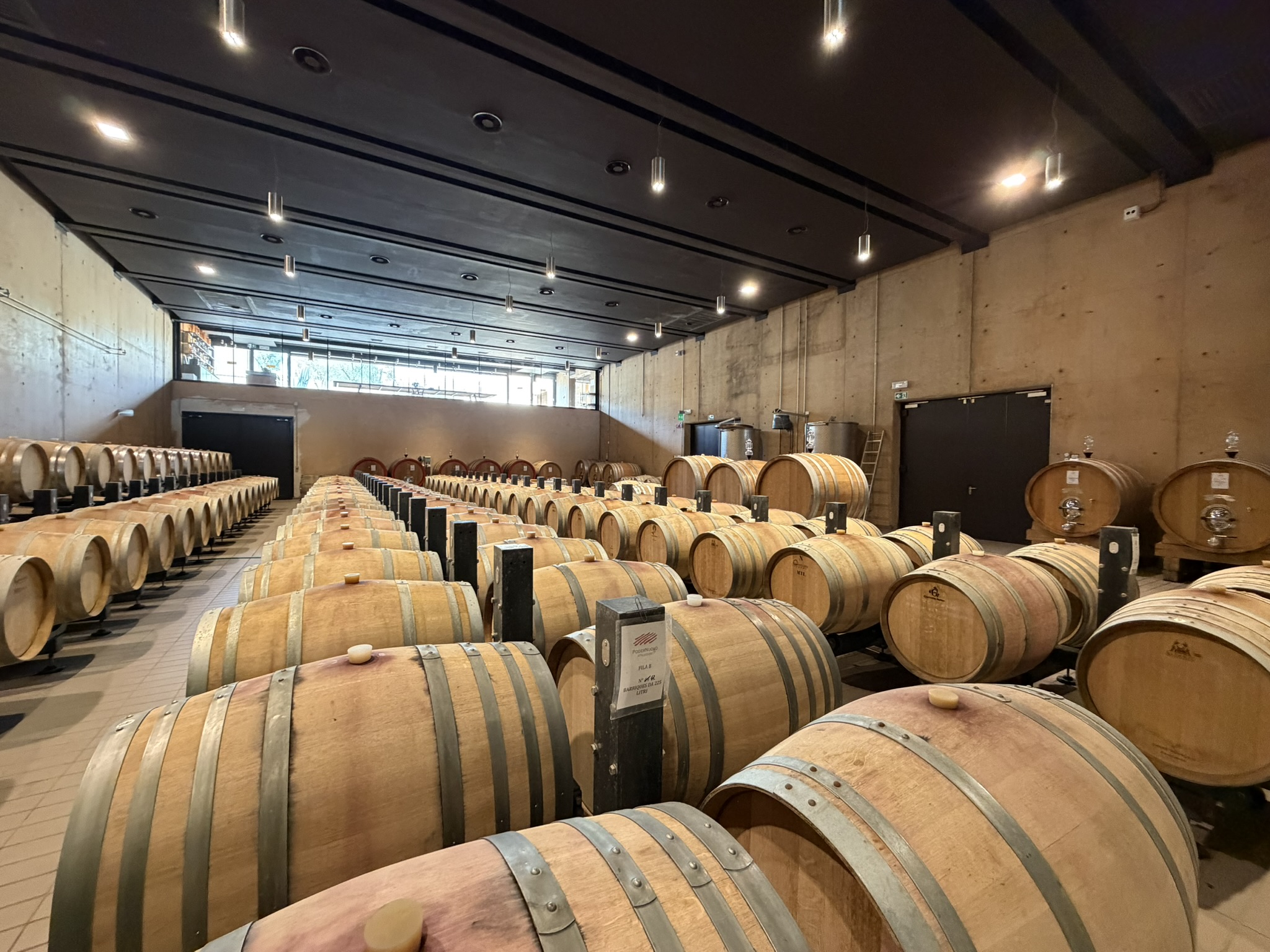 Podernuovo barrel room