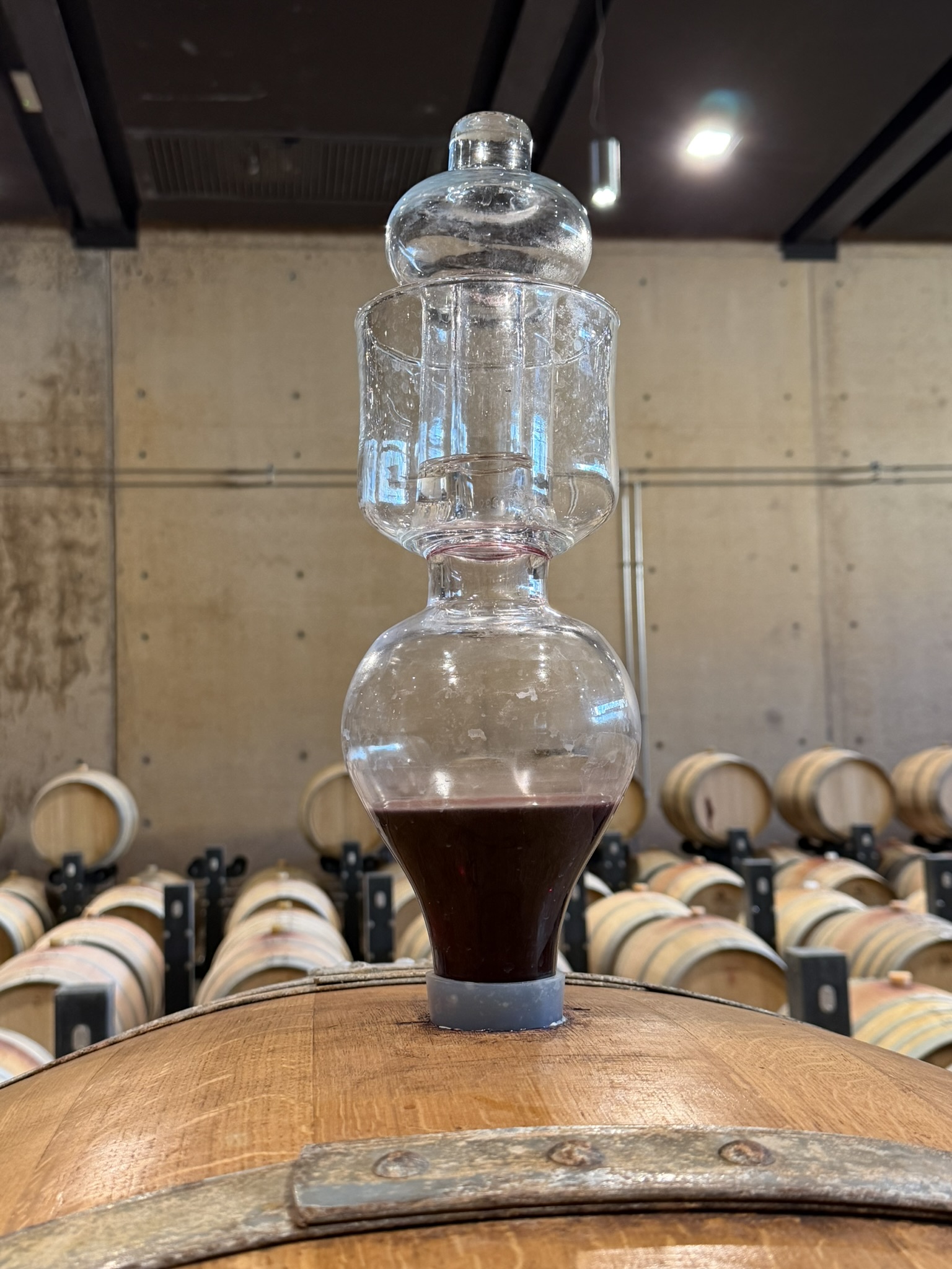 Wine aging in barrels