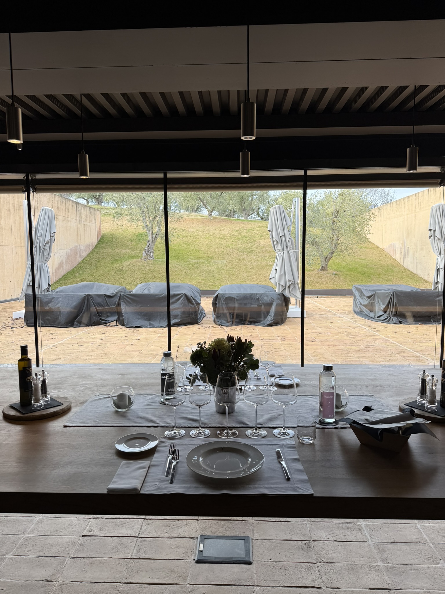 View from tasting room to garden