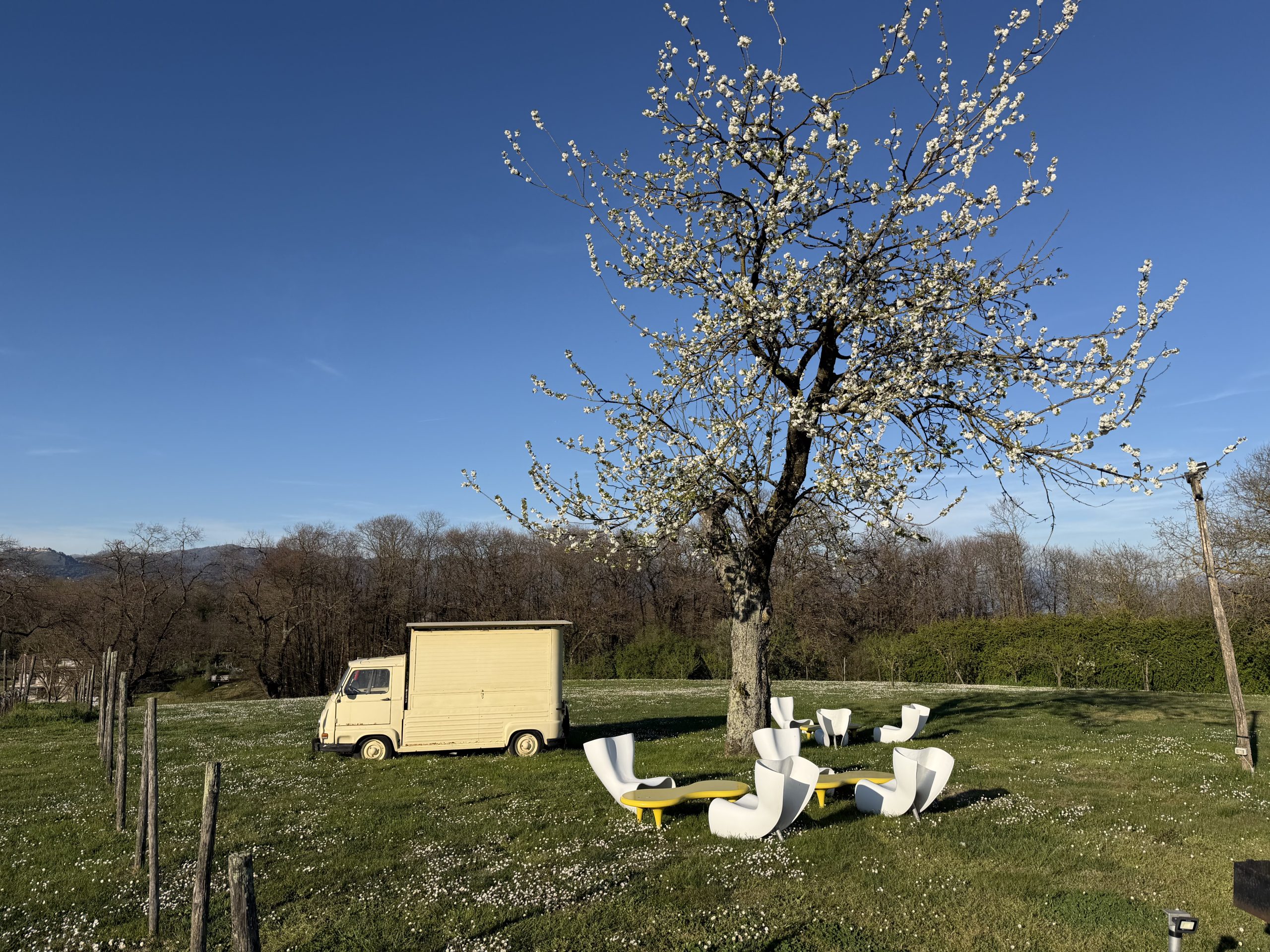 Vintage van and design chairs under a blossoming tree