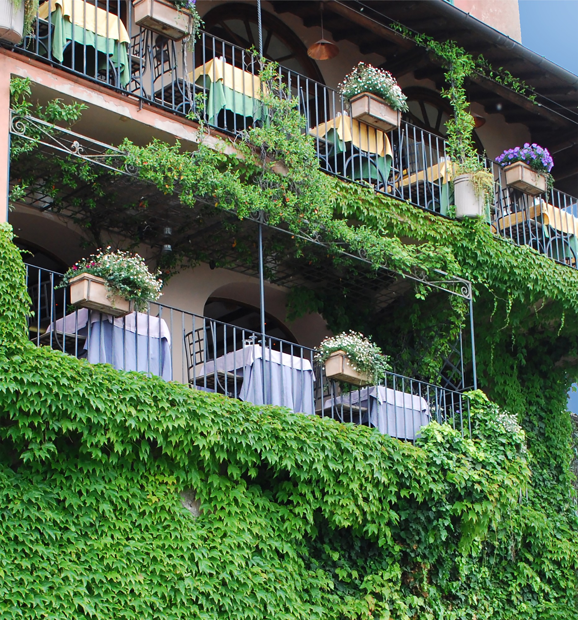 Terraces covered with greenery at Pagnanelli