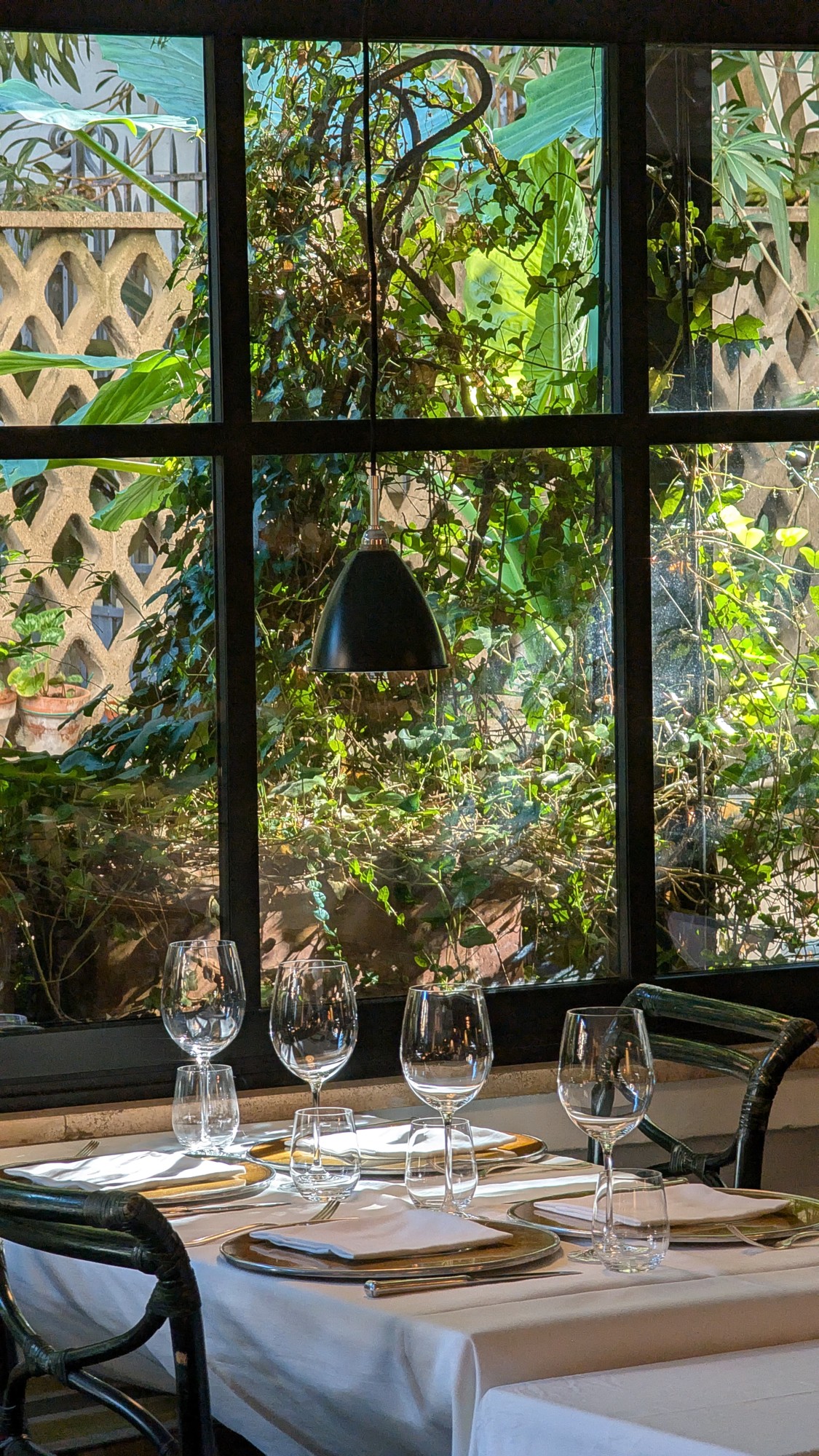 Table beside a leafy window at Al Ceppo